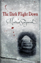 The Dark Flight Down
by Marcus Sedgwick